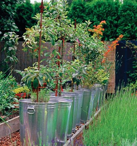 metal trash can grow box|planting in a trash can.